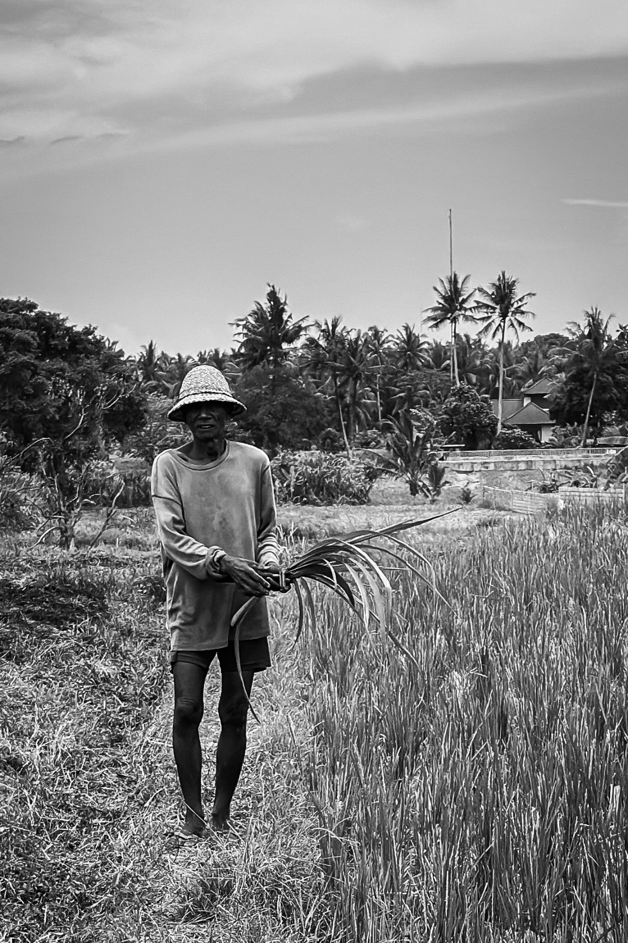 Beautiful Bali — photograph 6