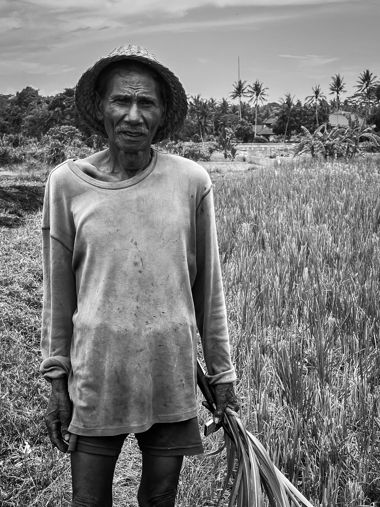 Beautiful Bali — photograph 7