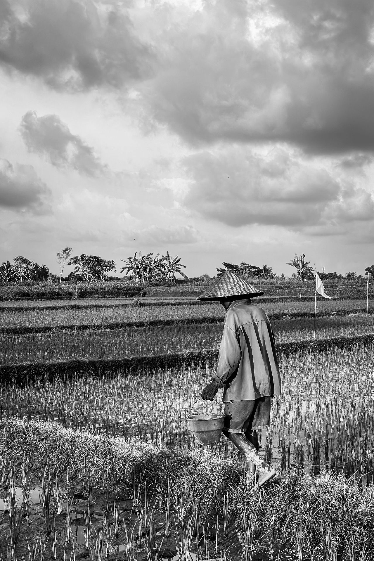 Beautiful Bali — photograph 13
