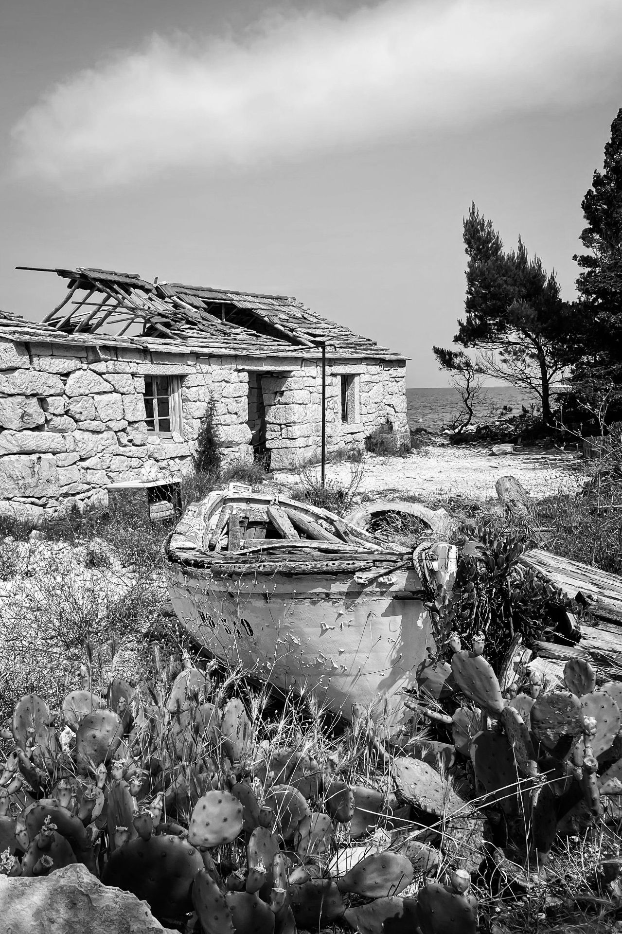 Islands of Croatia — photograph 8