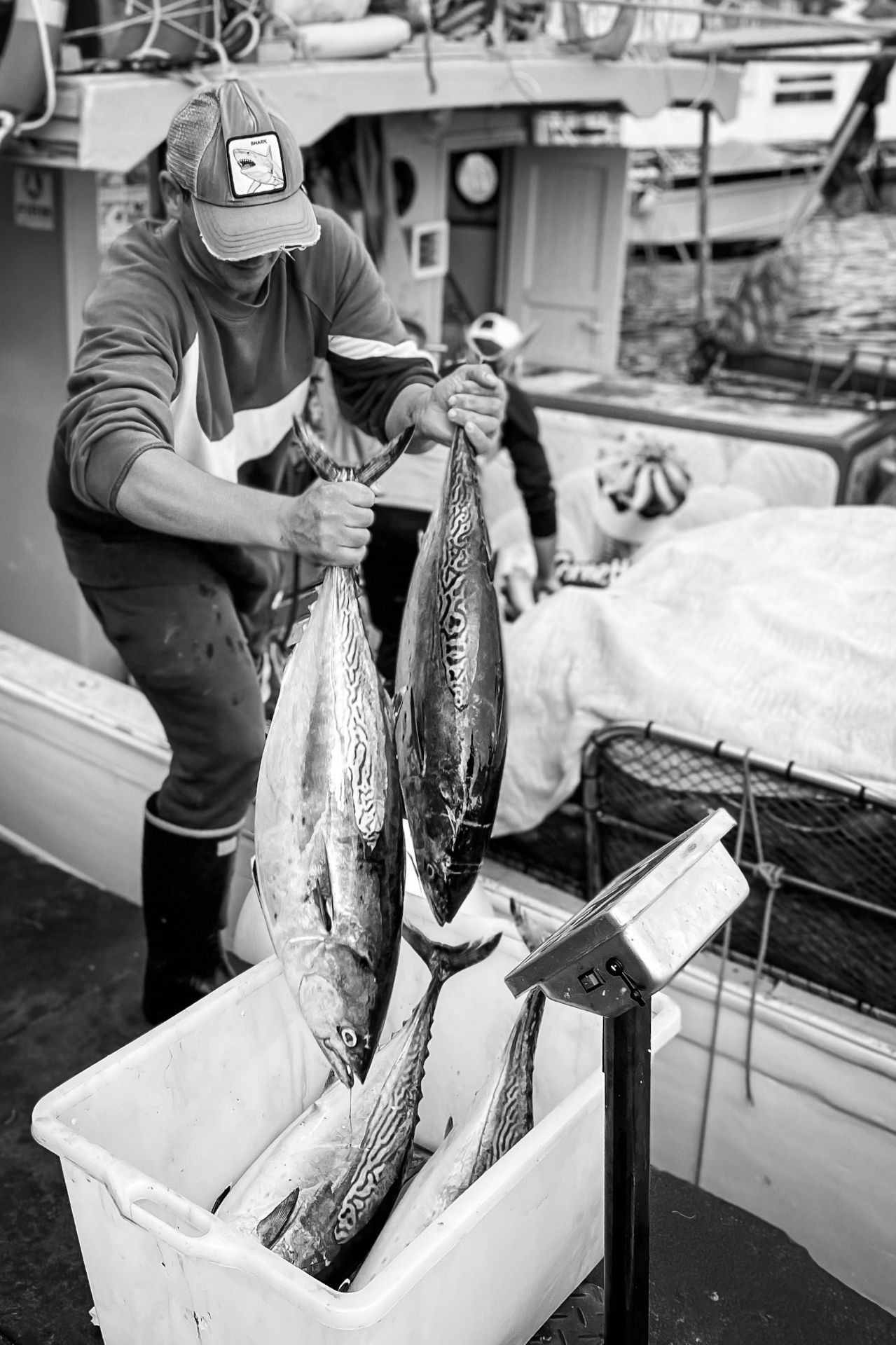 Icons of Italy — photograph 16